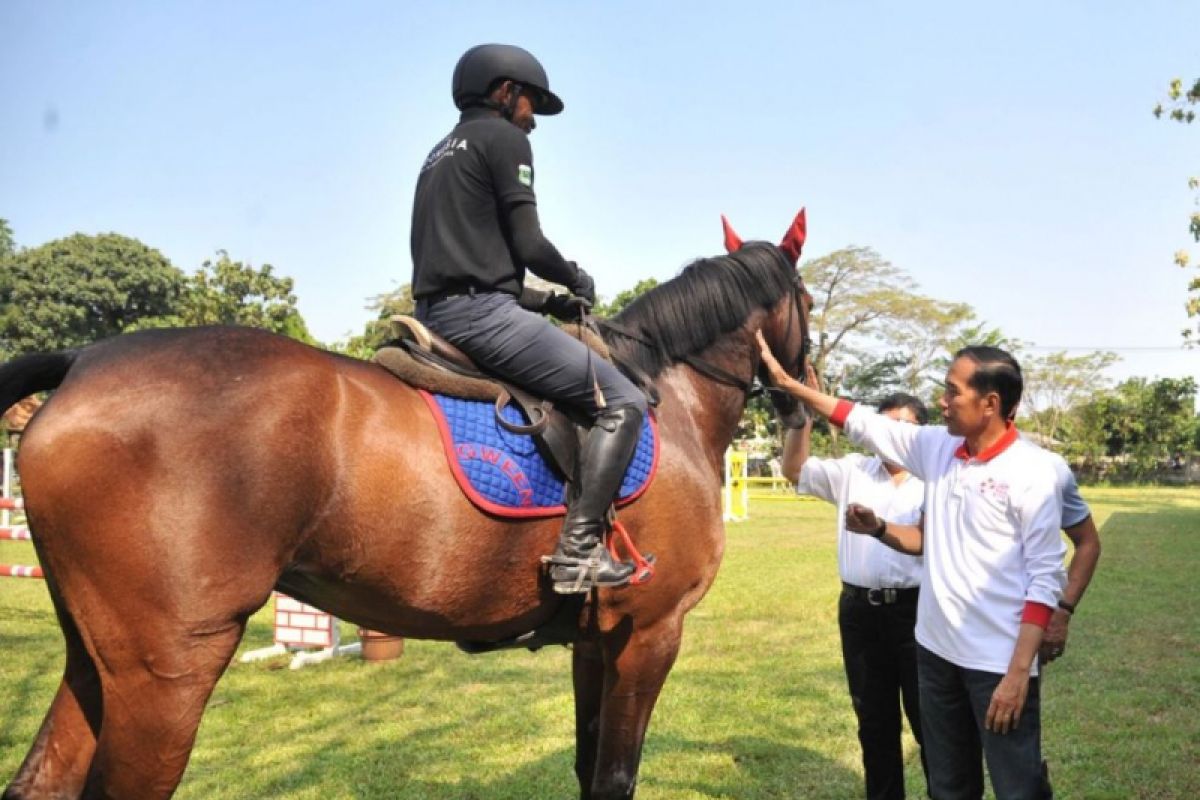 Jokowi Keliling Arena Pelatnas Berkuda Asian Games