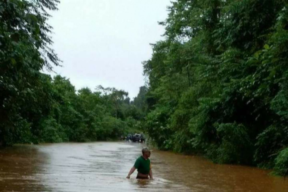 Di Konawe Utara, banjir sebabkan ratusan hektare sawah puso