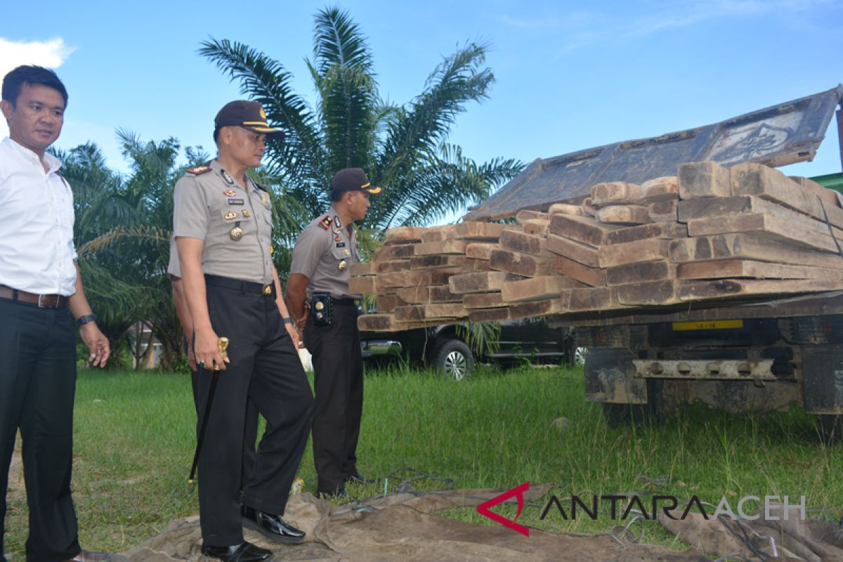 Polisi Singkil tangkap mobil angkut kayu ilegal
