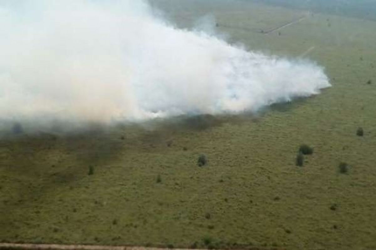 Kebakaran Hampir 5 Hektare di Pelintung Dumai, Satgas Berjibaku Memadamkan