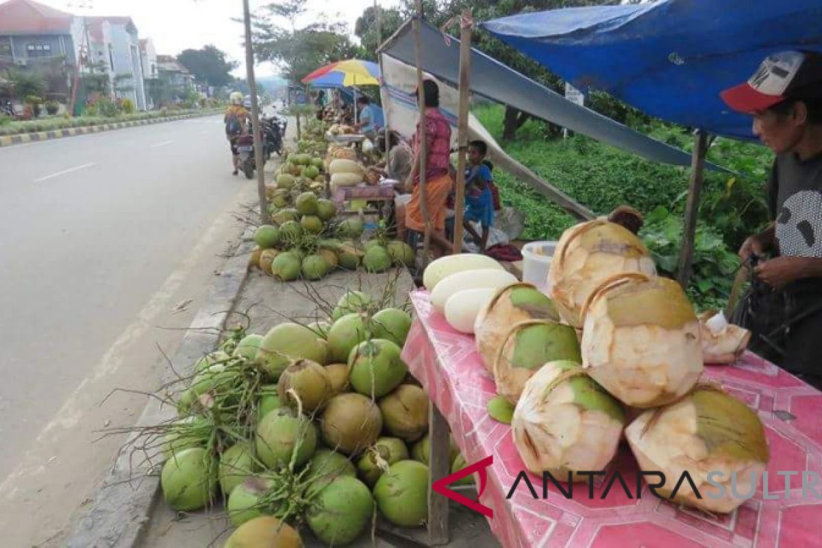 Pedagang kelapa musiman ramaikan sudut Kota Kolaka