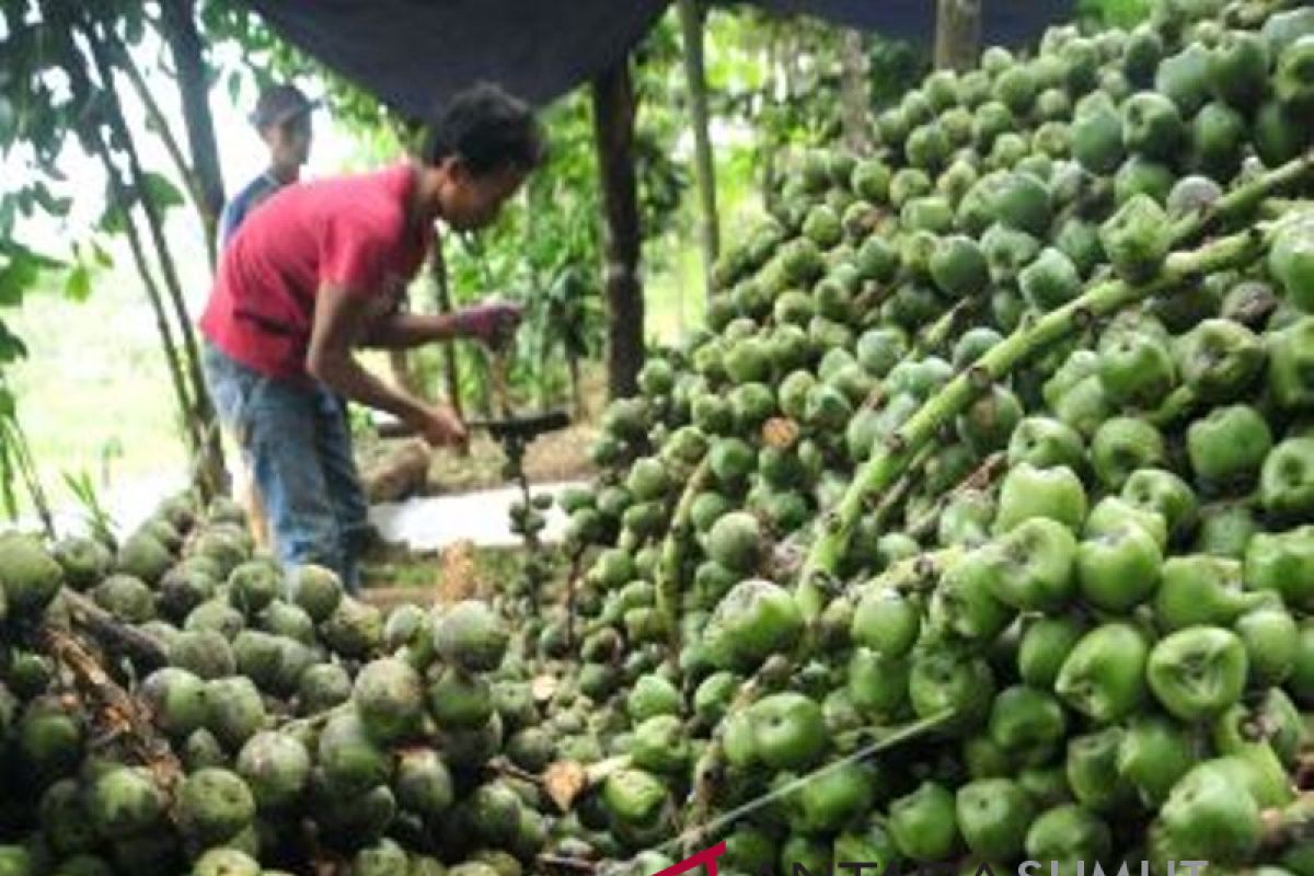 Pengrajin kolang kaling kebanjiran pesanan