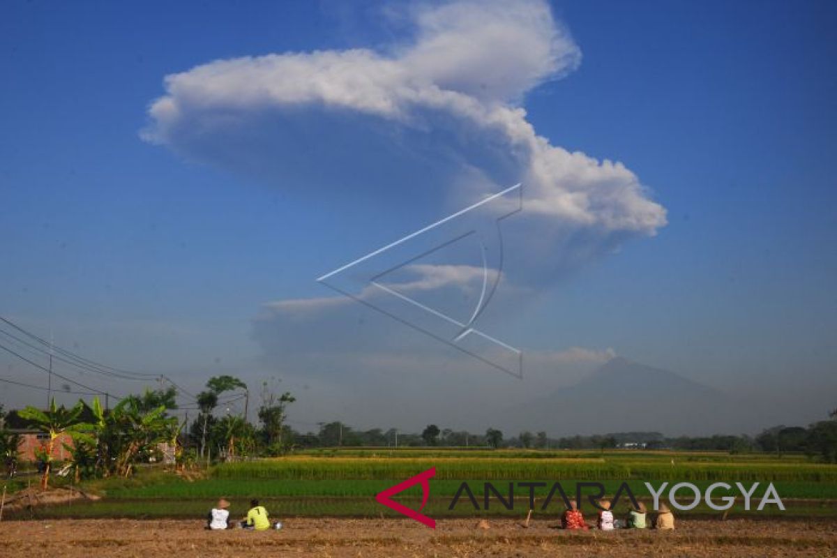 BPPTKG: gunung merapi kembali meletus