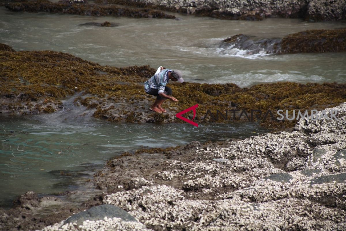 Warga Gunung Timang Barut tewas tenggelam saat cari ikan