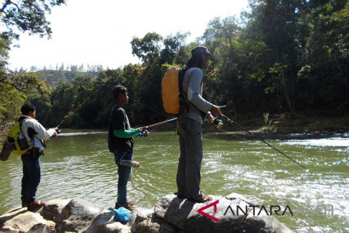 Berburu ikan mahseer di sungai pedalaman Gayo, Aceh Tengah