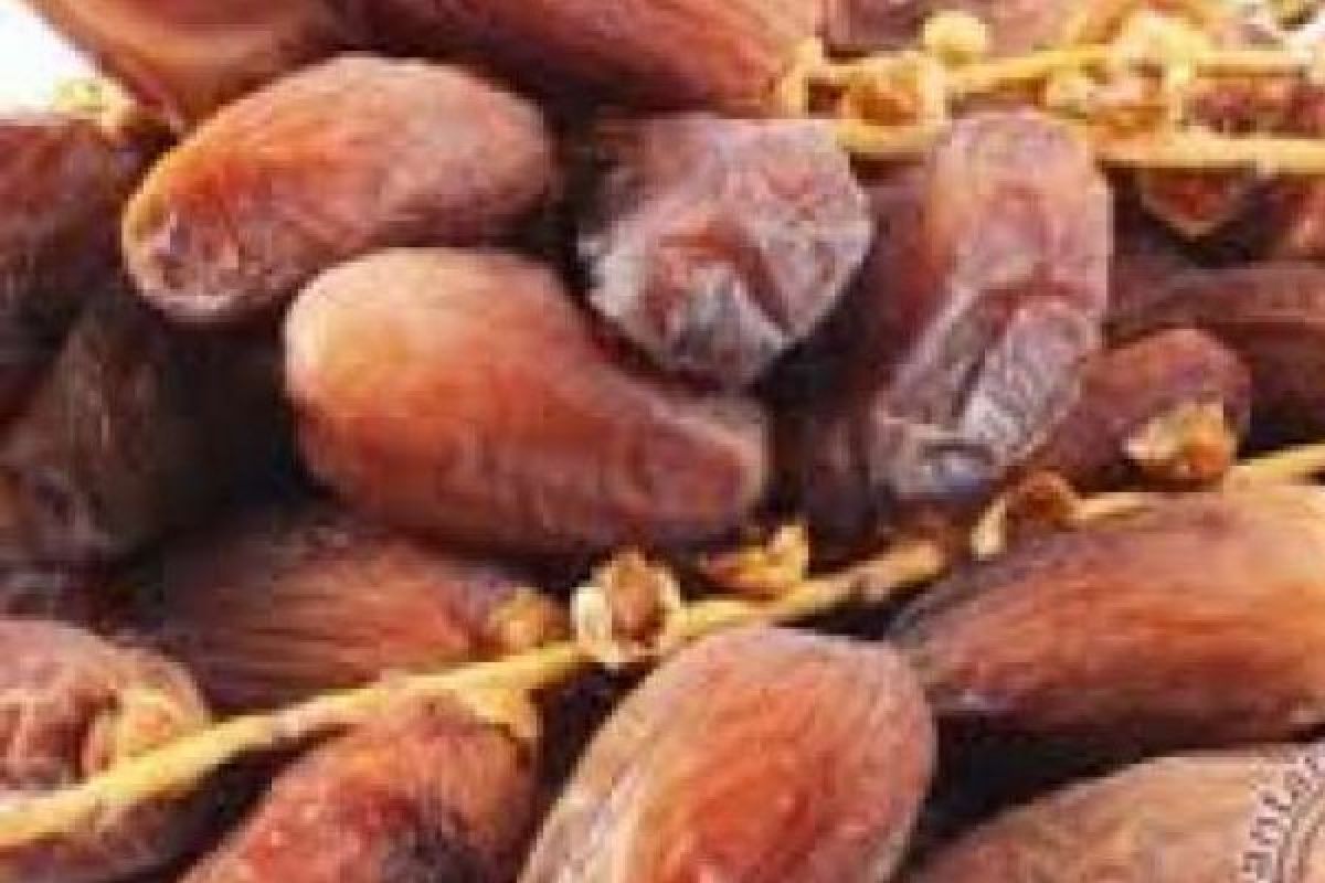 Meski Kebanjiran Pesanan Saat Ramadhan, Pedagang Kurma di Pekanbaru ini Tidak Menaikkan Harga