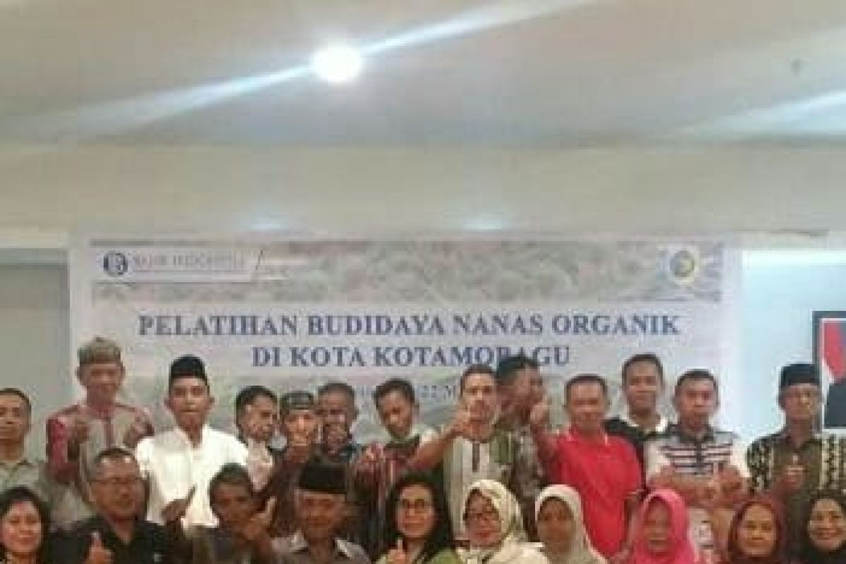 BI tingkatkan pengembangan klaster nanas Kotamobagu sistem GAP