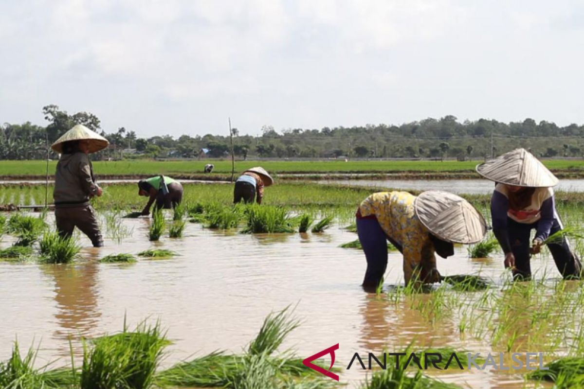 Pemerintah segera bagikan kartu tani pupuk bersubsidi