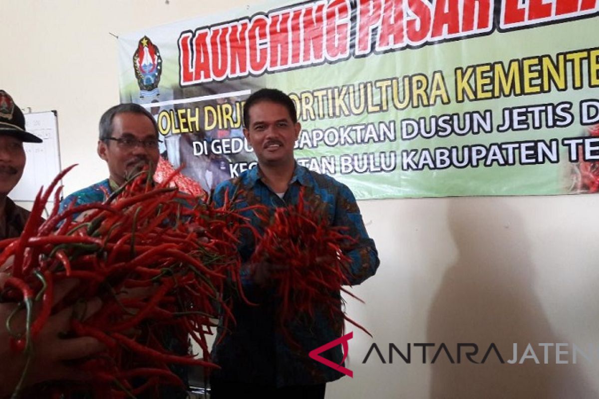 Dirjen sebut Indonesia tidak lagi impor bawang merah