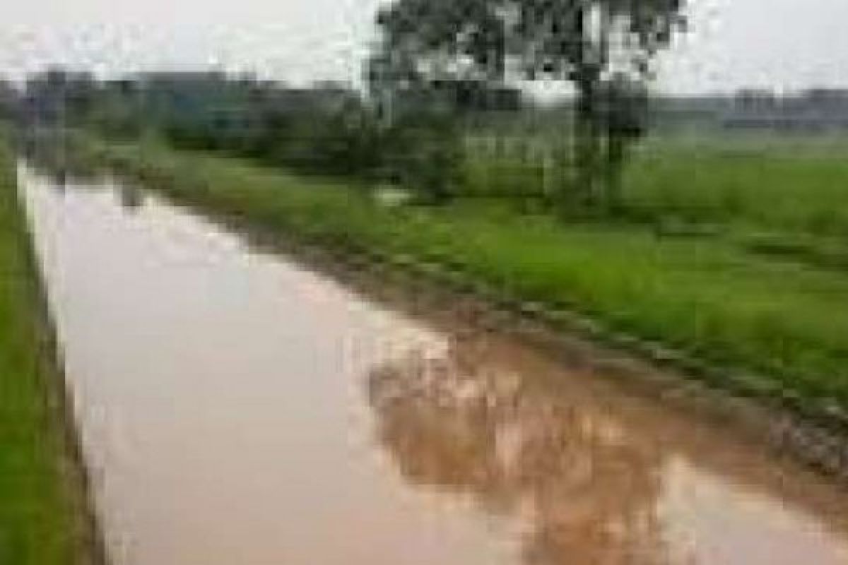 Pemkab Disarankan Bangun Irigasi Bersumber dari Sungai Siak untuk Dialirkan ke Sawah Petani