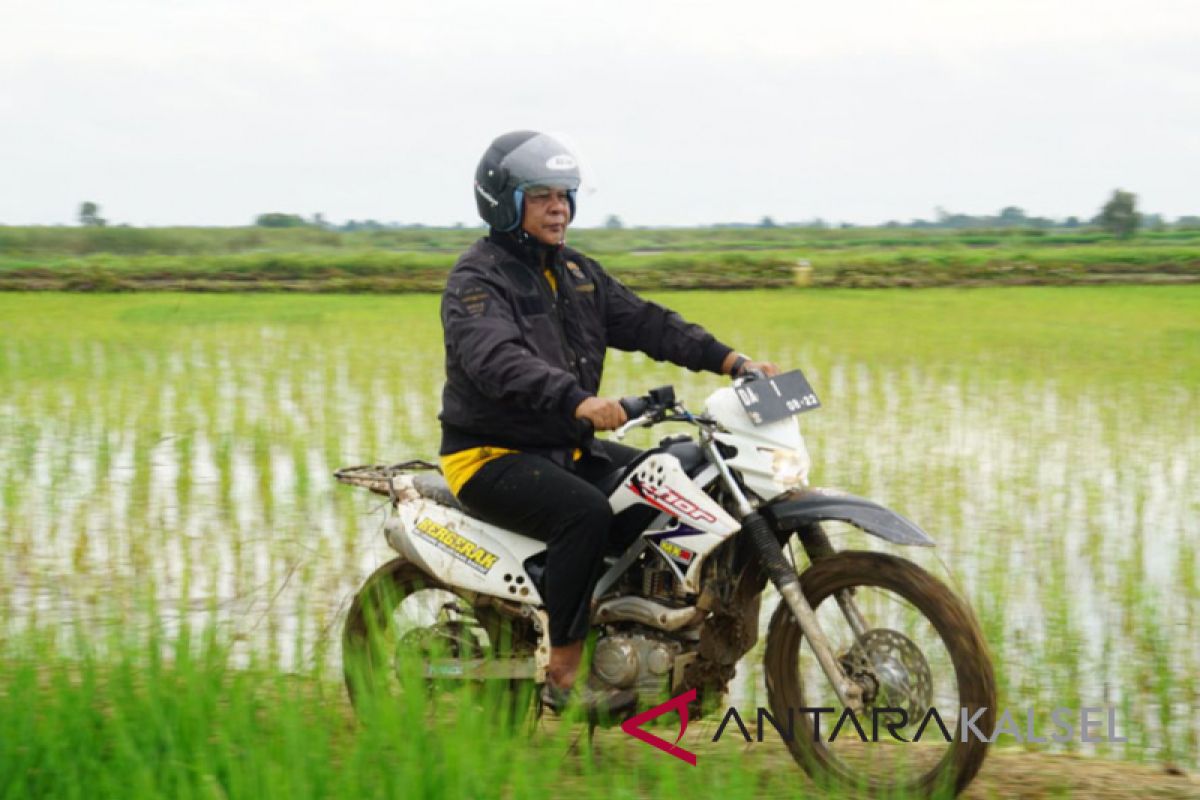 Gubernur dorong perluasan tanam pada lahan tidur