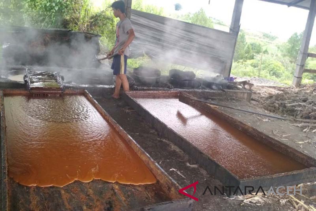 Harga gula tebu di tingkat petani masih rendah