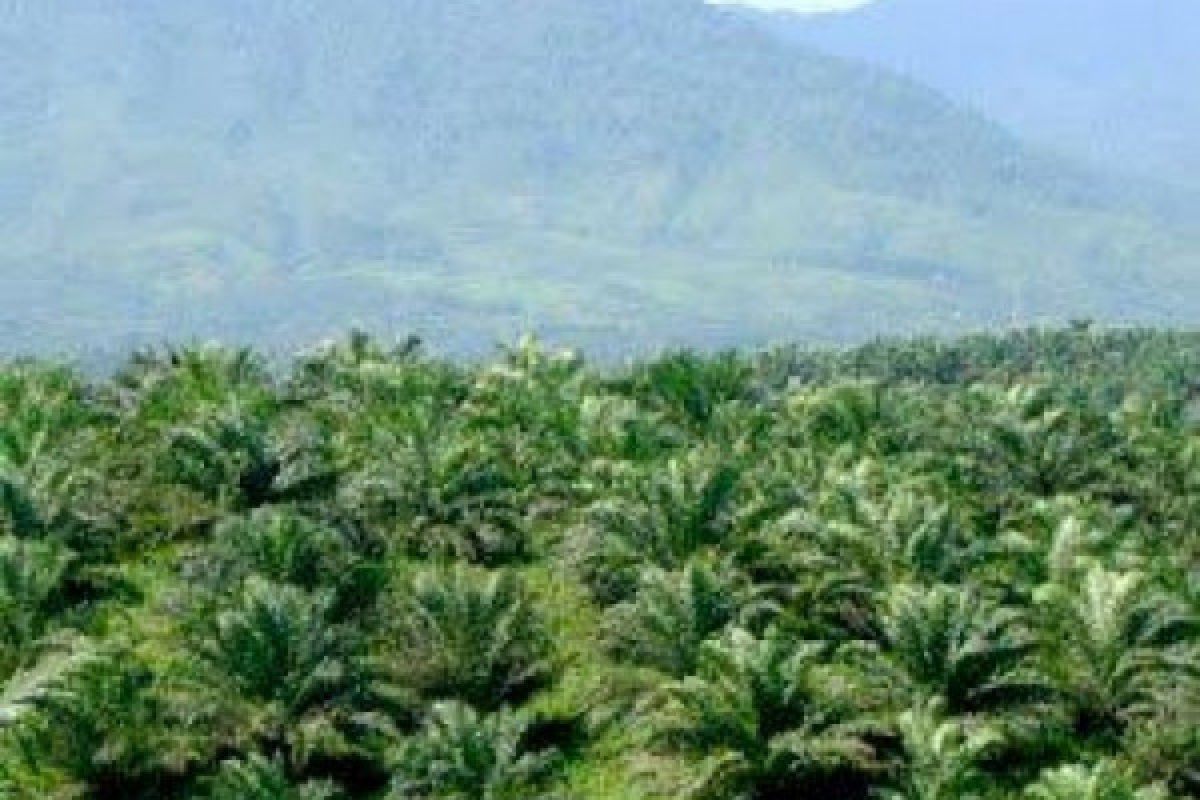 Indonesia defends its palm oil at ASEAN-EU Ministerial Meeting