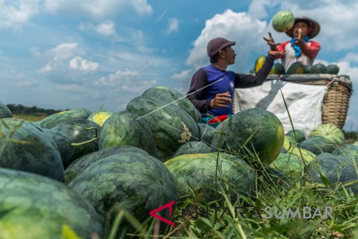 Agar mengonsumsi buah bermanfaat bagi kesehatan, ini waktu yang harus dihindari