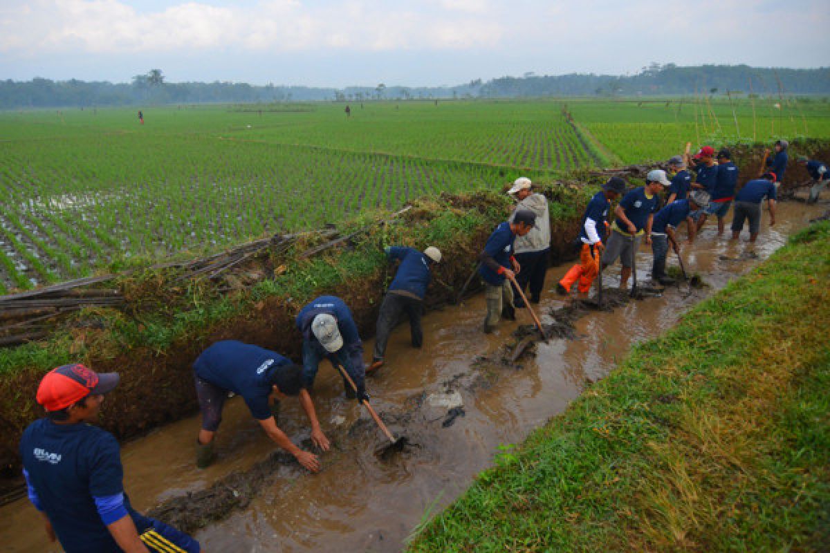 Kadin kumpulkan Bulog-Kemendag-Kementan bahas ketahanan pangan