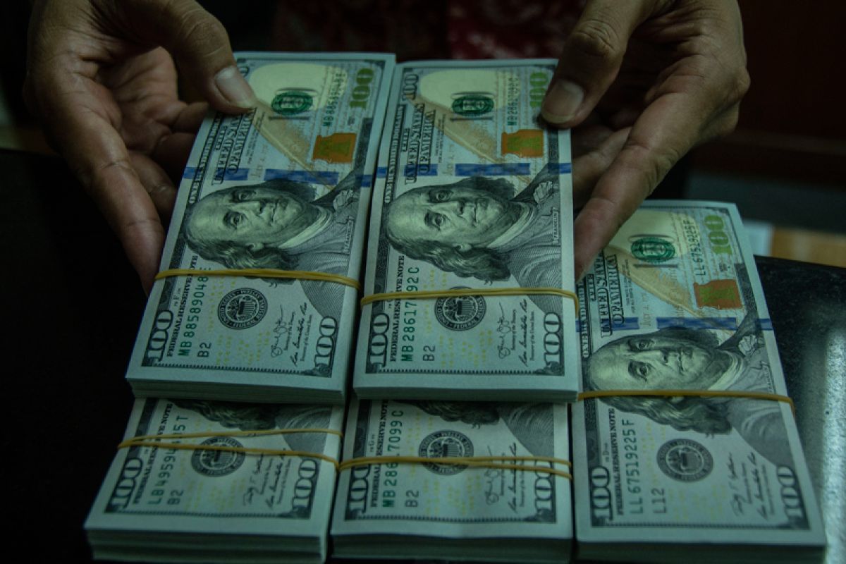 Rupiah melemah 15 poin ke Rp14.202 per dolar AS