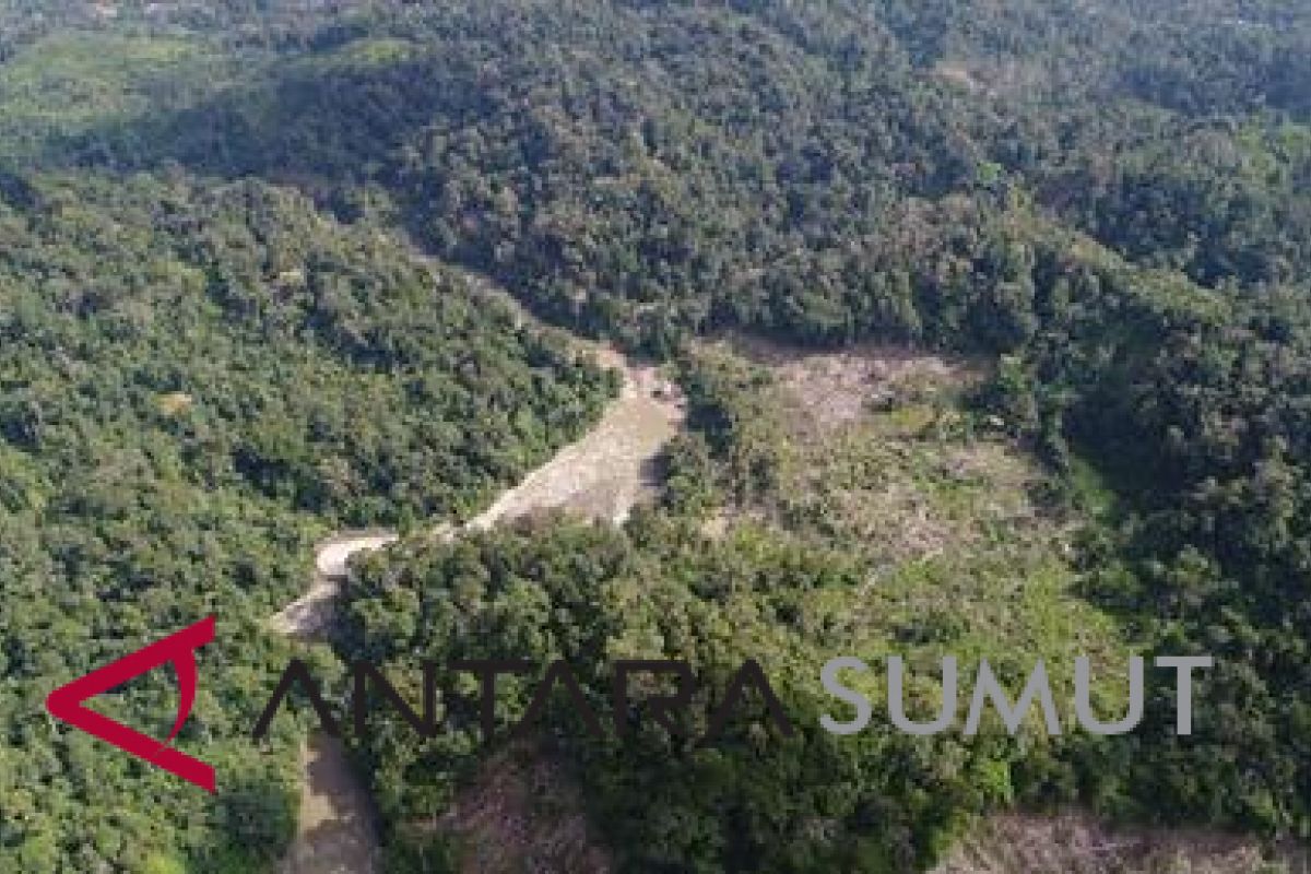 Hutan Simalungun masuk program rehabilitasi