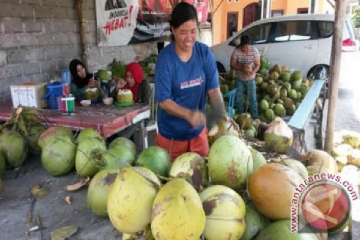 Kota Palu dibanjiri pedagang musiman kelapa muda