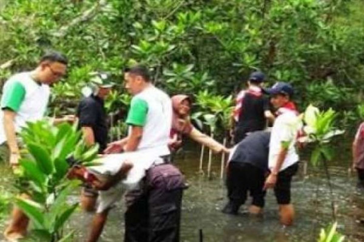 Usai Jambore Nasional Generasi Hijau, Yayasan Belantara Bagikan 126.000 Bibit Mangrove