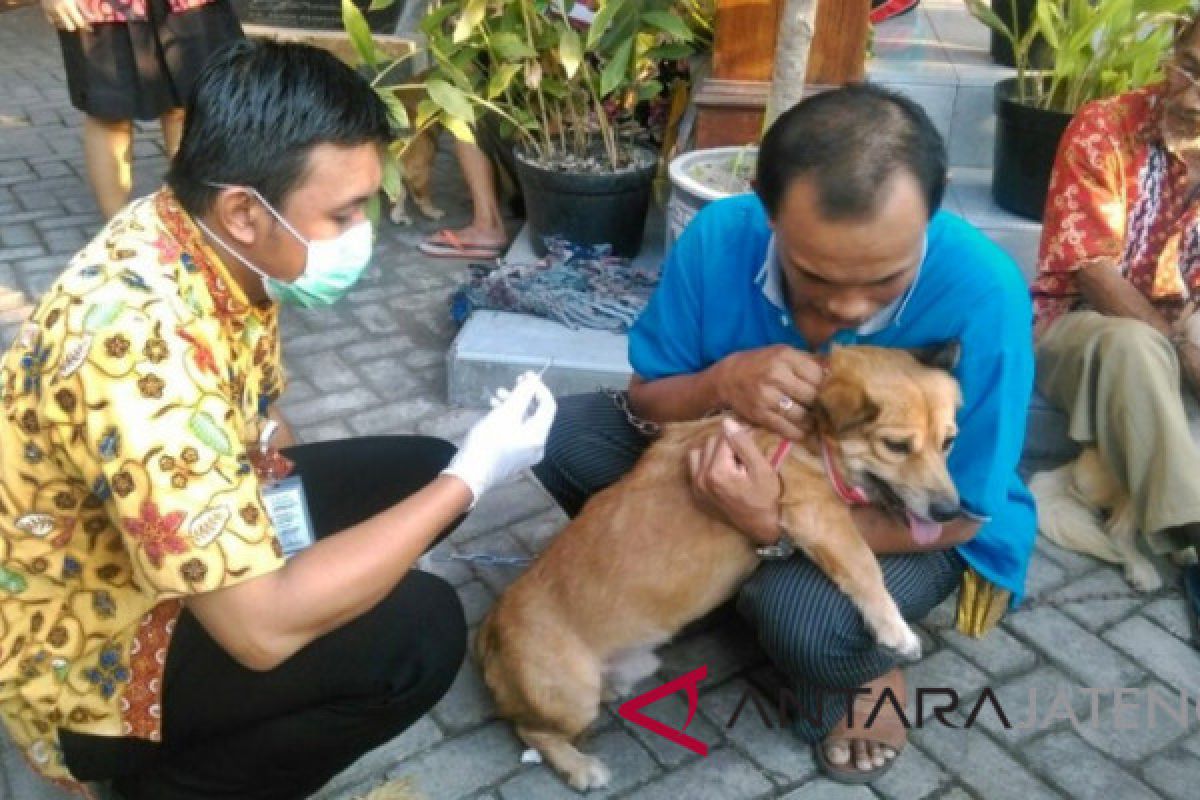 Antisipasi Rabies, anjing di Boyolali divaksin