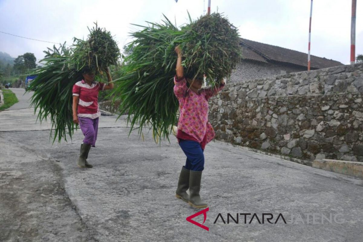 Balai Hiperkes pantau kualitas udara di merapi