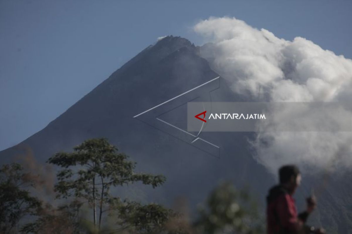 Mount Merapi spews hot clouds 1,000 meters from summit