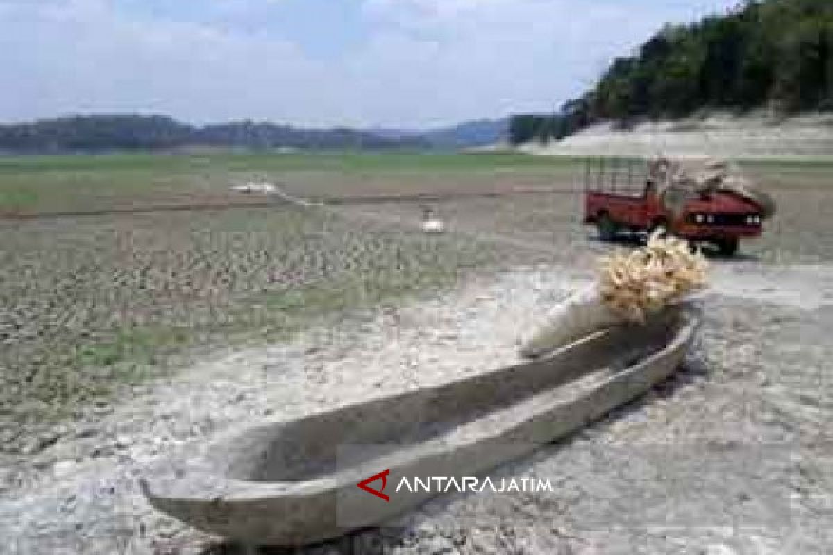 Bojonegoro Tetapkan Siaga Darurat Bencana Kekeringan