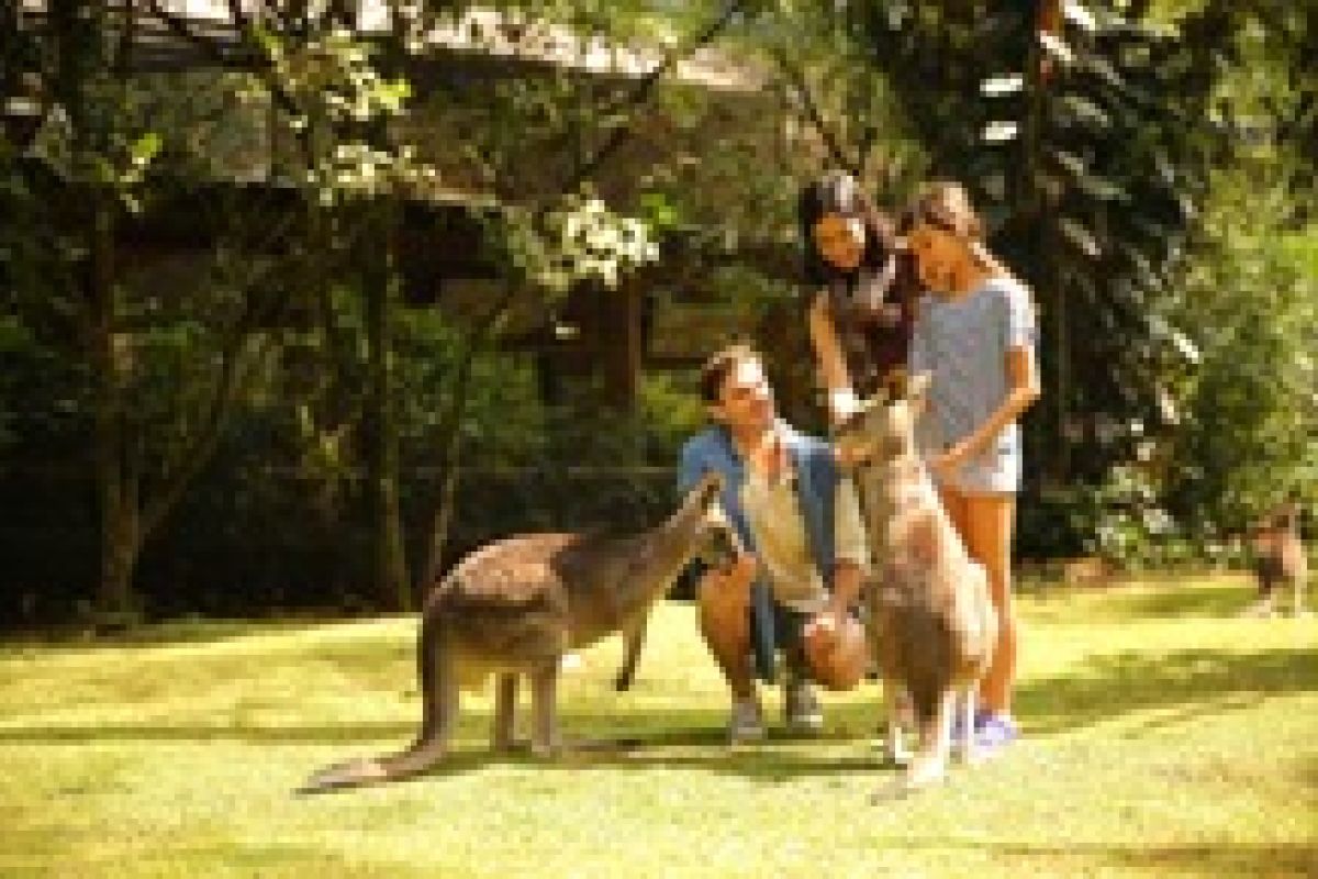 Australiana Zona Baru Andalan Taman Safari Prigen