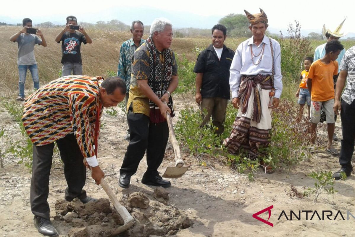 Kabupaten Kupang  Jadi Sentra Garam Nasional