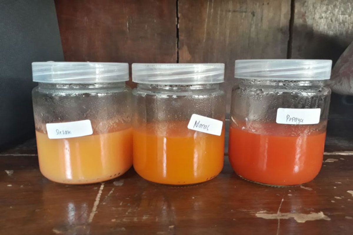 Carofruit, minuman antioksidan dari buah merah buatan anak IPB