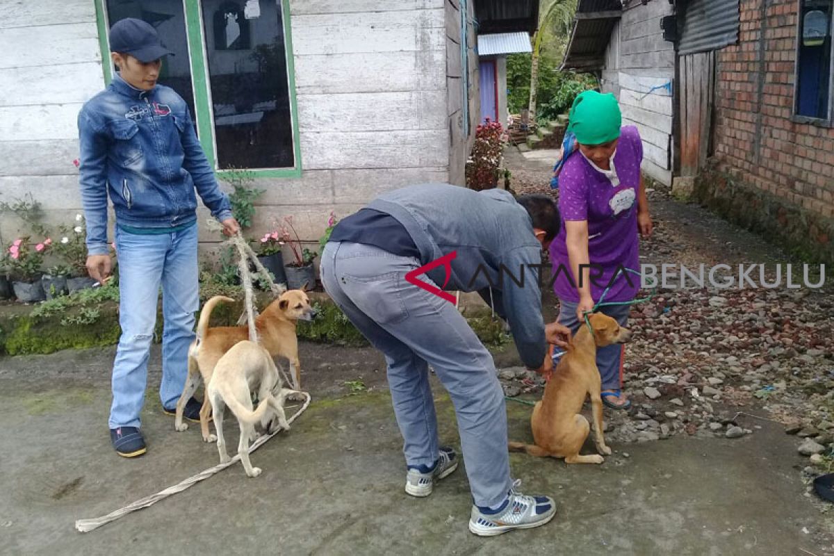 Korban gigitan HPR dihimbau segera berobat