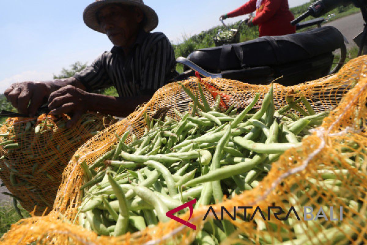 Inilah makanan penurun kolesterol