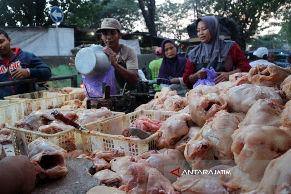 Harga Daging Ayam Potong di Bojonegoro Naik Rp40.000/Kilogram