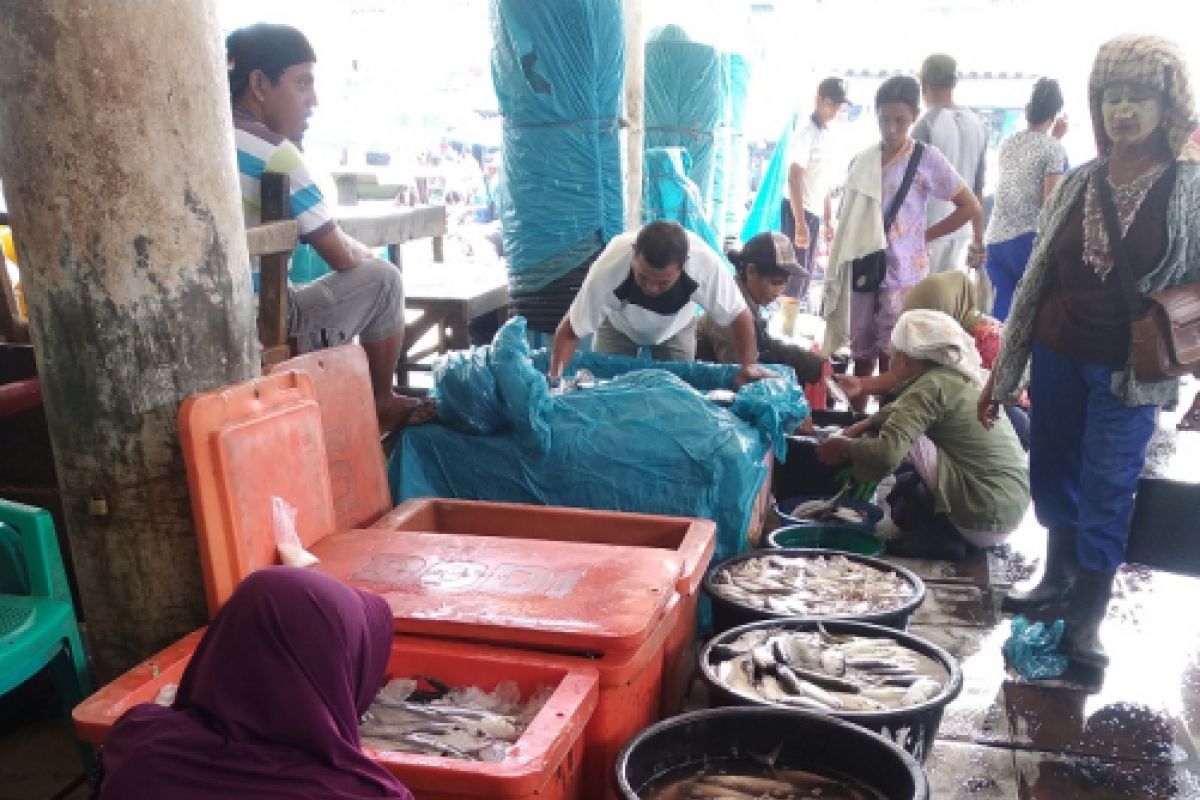 Harga ikan melonjak naik di Sibolga