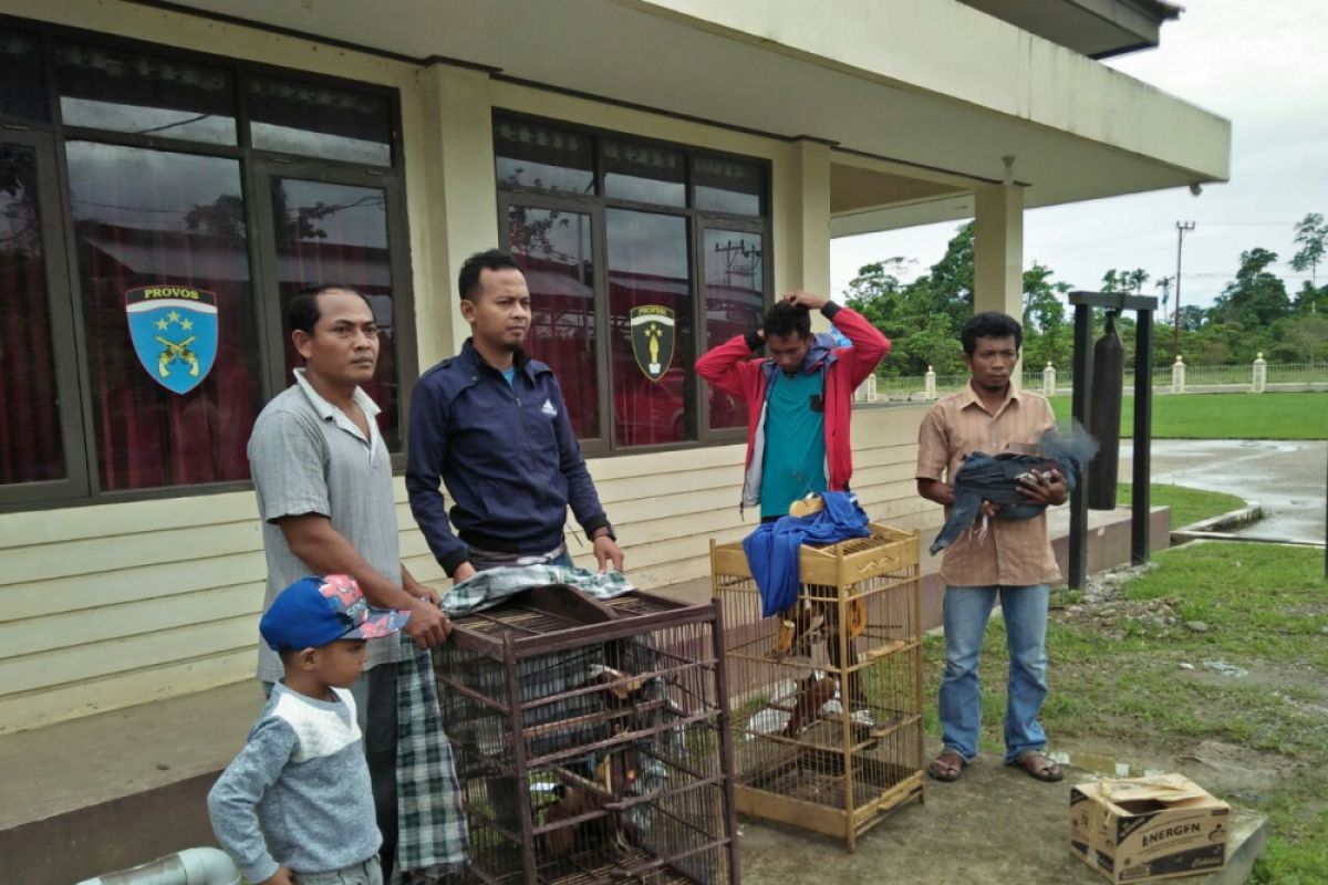 Warga Bintuni serahkan enam satwa dilindungi kepada polisi