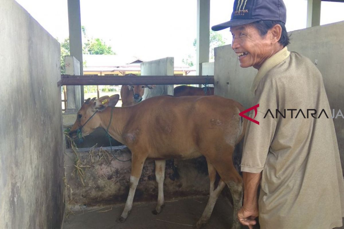 Disbunnak Batanghari cek kesehatan hewan ternak