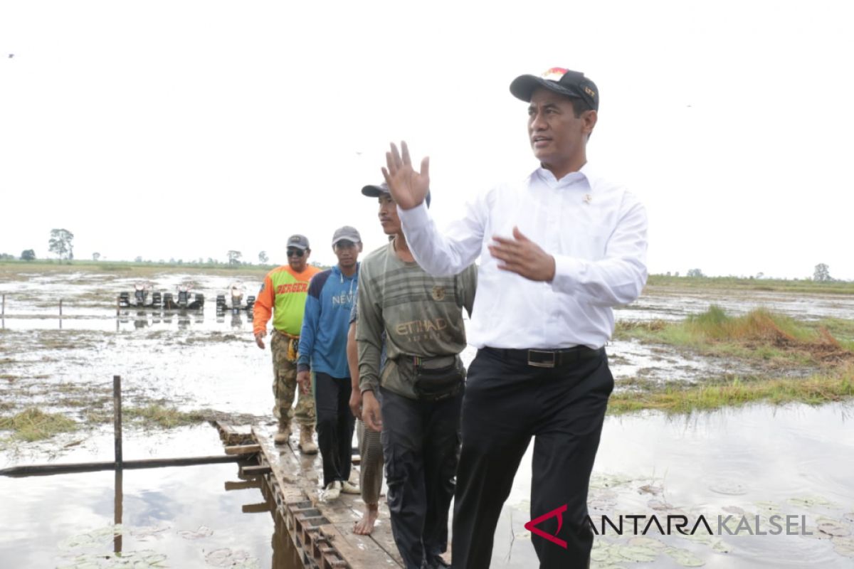 Pemprov Kalsel realisasikan pembukaan lahan 750 hektare