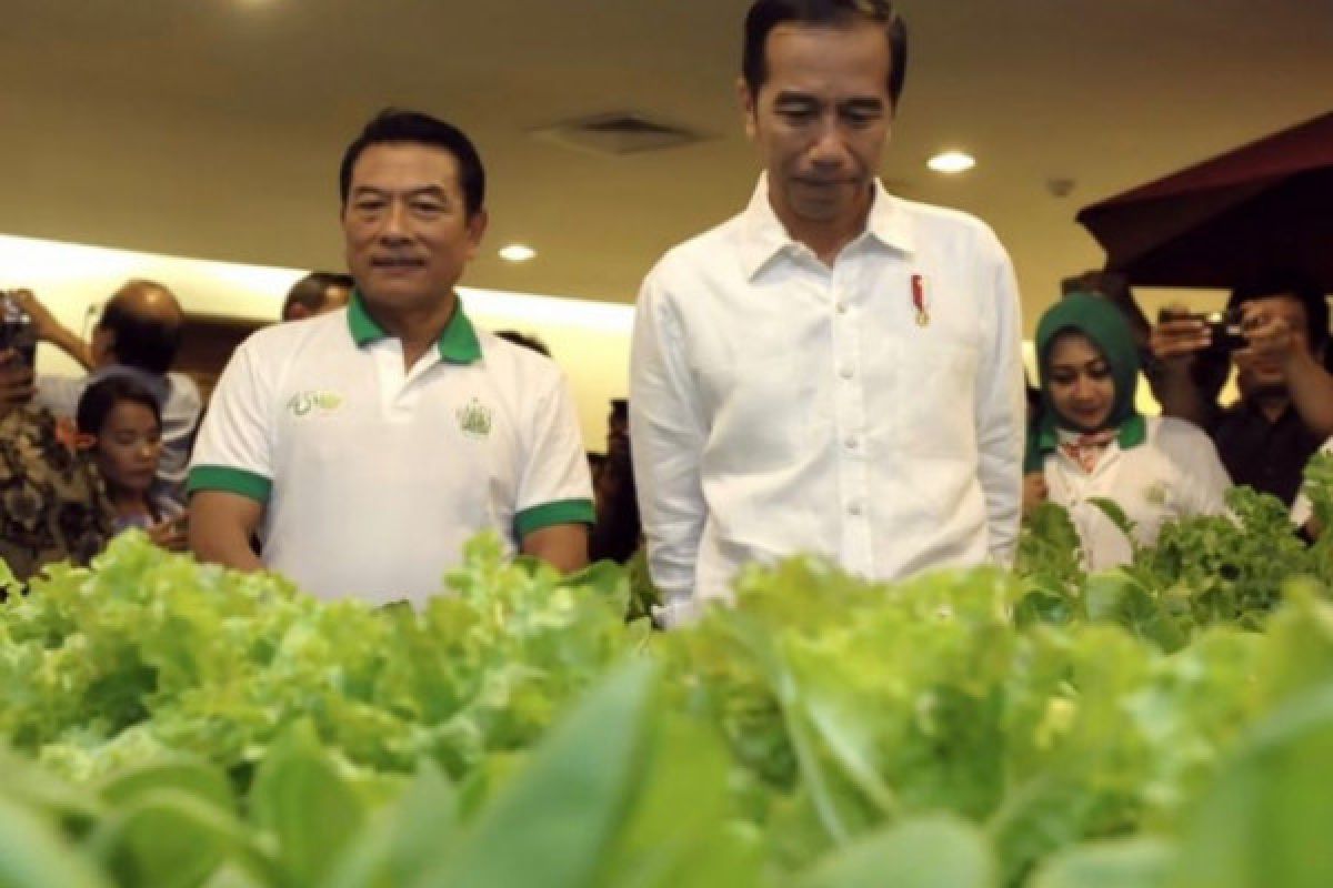 Peluang Moeldoko jadi cawapres Jokowi terkendala parpol koalisi