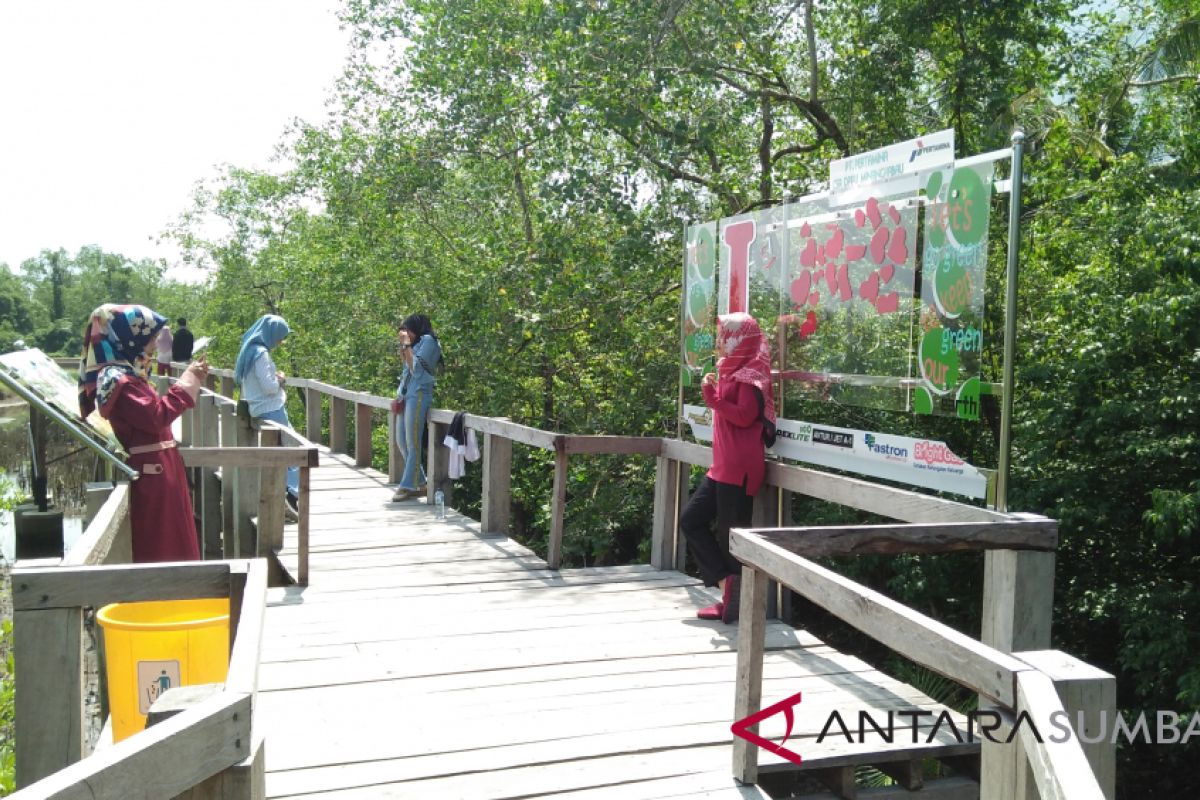 18.000 wisatawan kunjungi objek wisata jalur penelusuran hutan bakau Pariaman