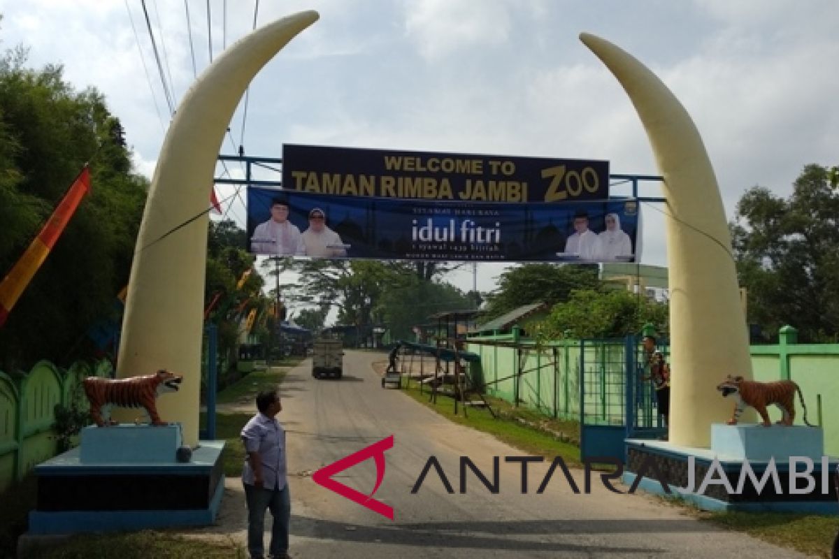 Taman Rimbo Jambi siap sambut pengunjung