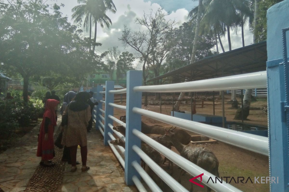 Ratusan warga padati Mini Zoo Kijang