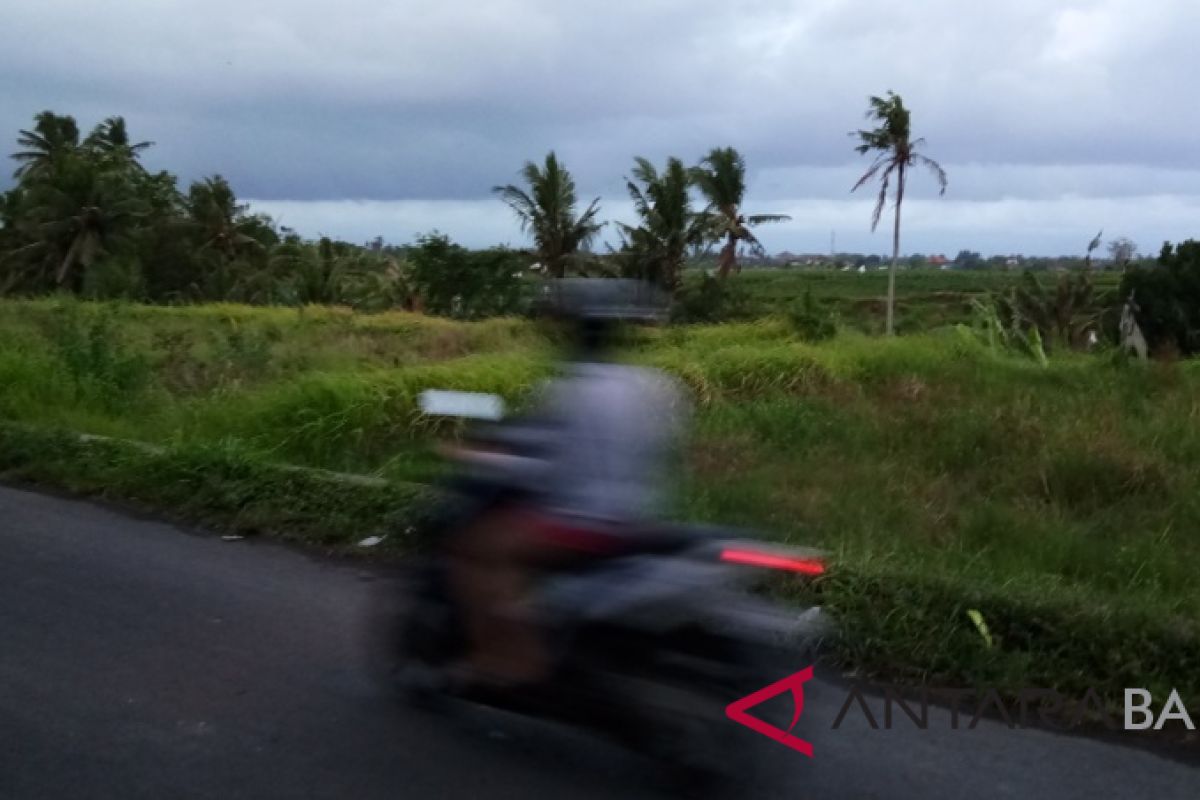 BMKG ingatkan peningkatan kecepatan angin di Bali