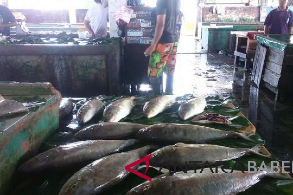 Pemkab Belitung pasarkan ikan segar ke Jakarta