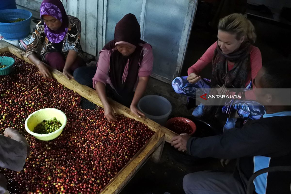 BPS catat hanya ada 12 wisatawan mancanegara kunjungi  Jatim