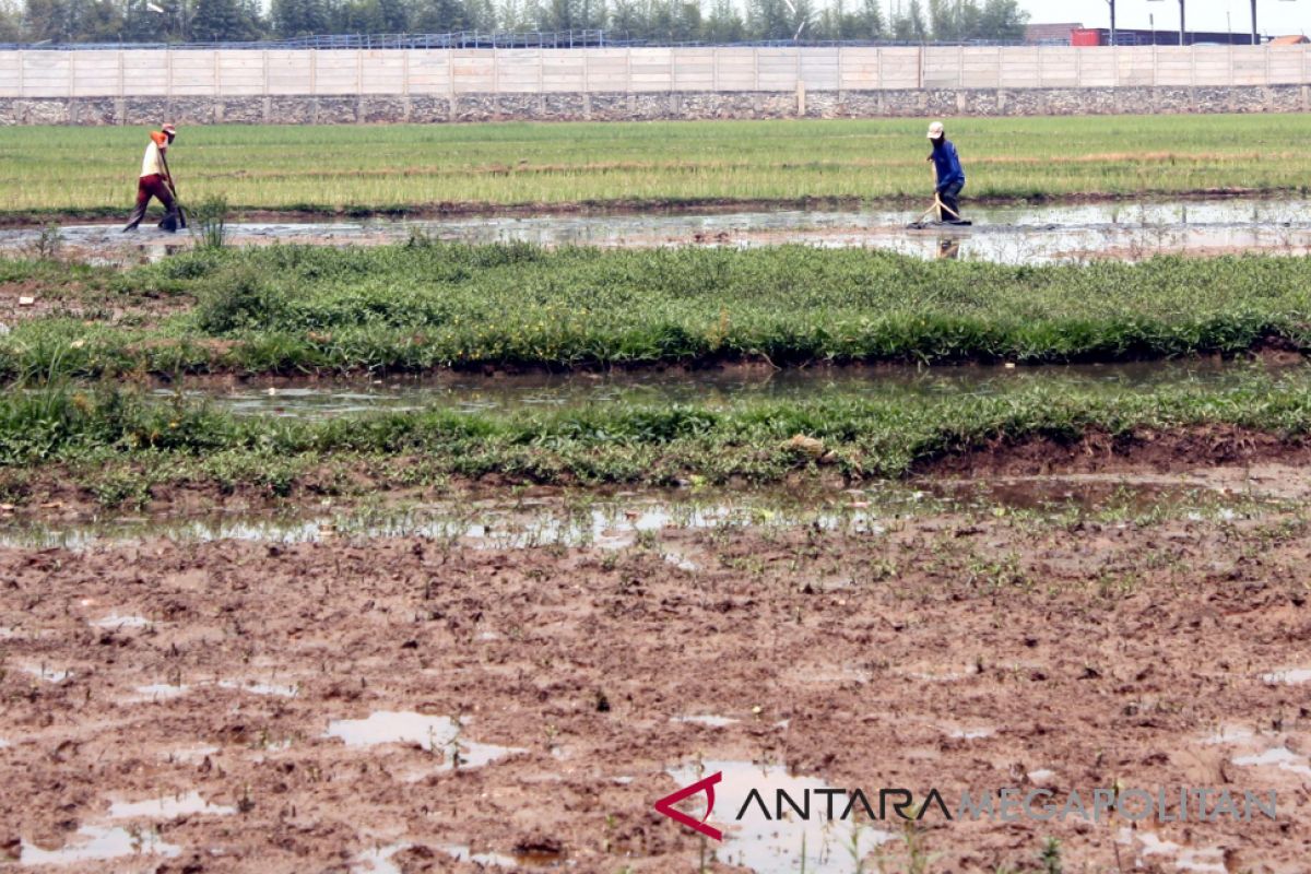 Pemkab Karawang perbaiki ratusan titik irigasi tertier