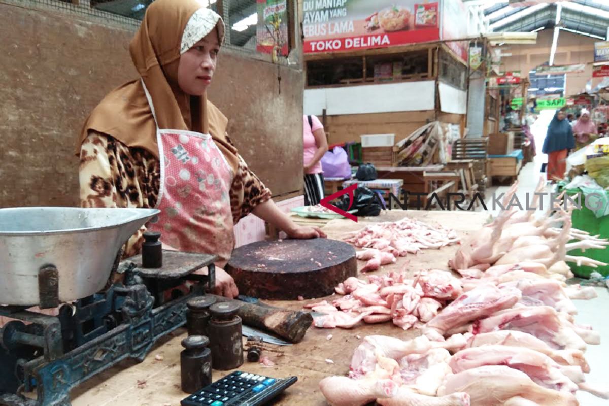 Harga daging ayam di Palangka Raya tembus Rp45 ribu/kg