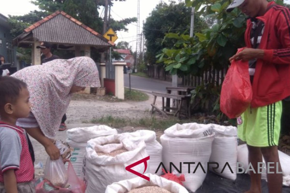 Petani Bangka Selatan pasarkan beras di Pangkalpinang