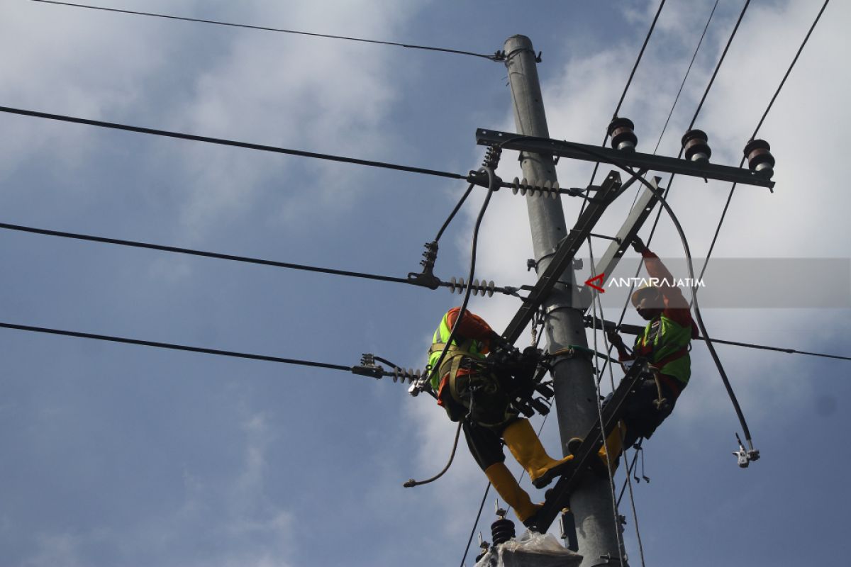 Menteri Rini minta PLN belajar dari negara lain saat terjadi gangguan