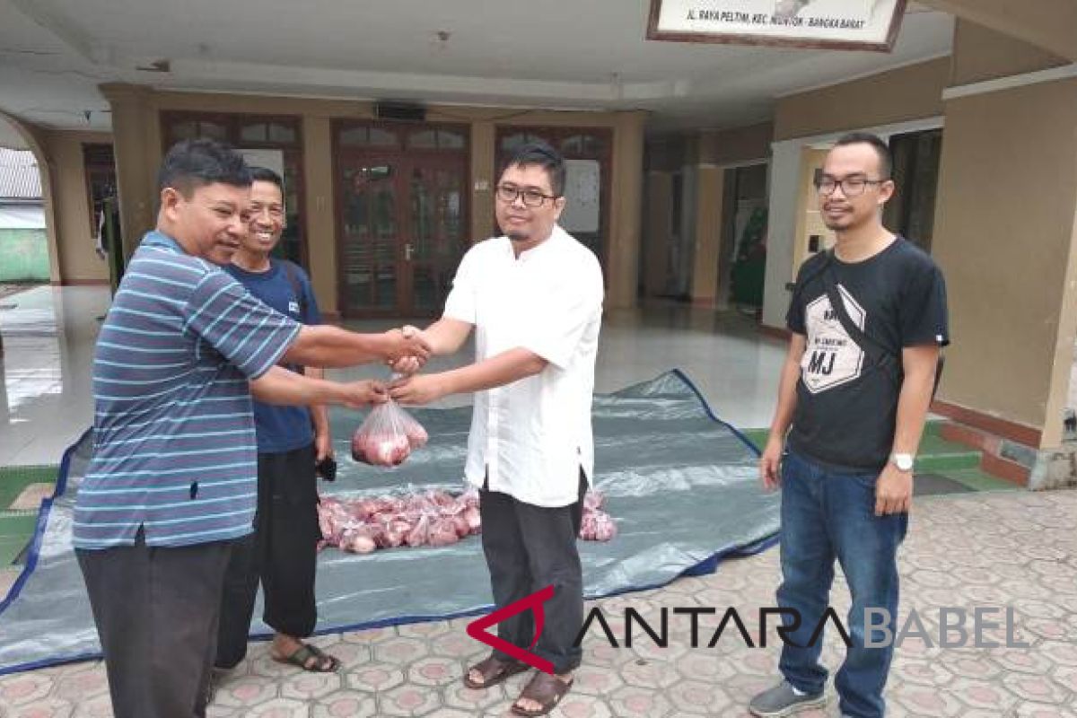 PT Timah bagikan 510 paket daging sapi di Muntok