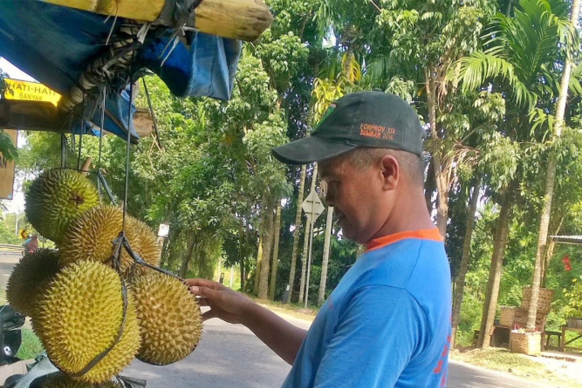 Durian Pesisir nan lezat laris hingga ke Batam dan Jakarta